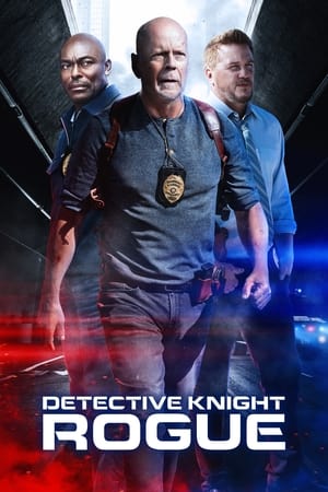 Poster Detective Knight: Rogue 2022