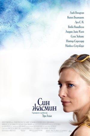 Poster Син жасмин 2013