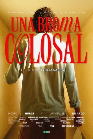 Póster oficial de la película Una broma colosal