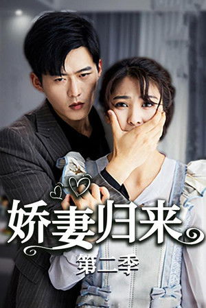 娇妻归来第二季