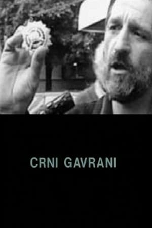 Crni gavrani