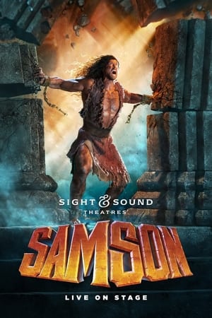 Samson film complet