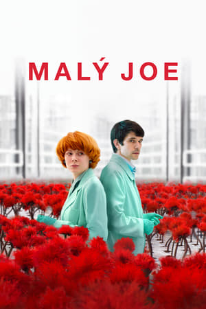 Poster Malý Joe 2019