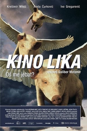 Poster The Lika Cinema 2008