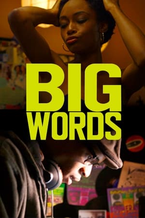 Poster Big Words 2013