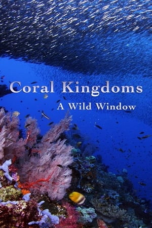Image A Wild Window: Coral Kingdoms