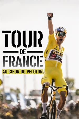 Image Tour de France: Med i feltet