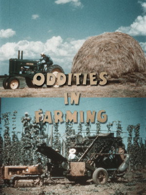 Oddities in Farming (1950)