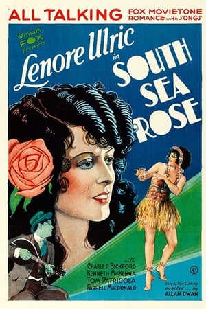 Poster South Sea Rose 1929