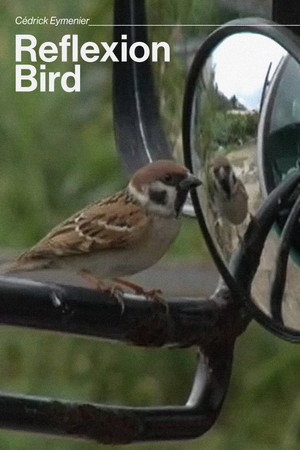 Reflexion bird