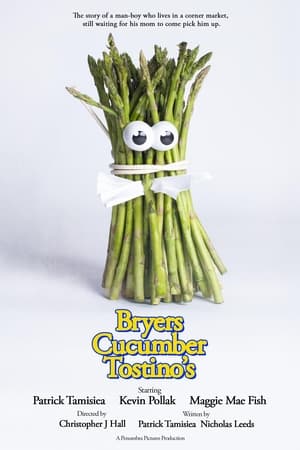 Image Bryers Cucumber Tostinos