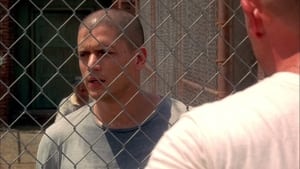 Prison Break: Em Busca da Verdade: 3×5