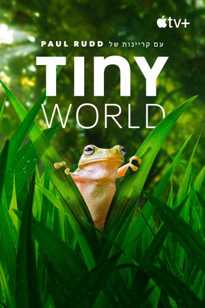 Image Tiny World