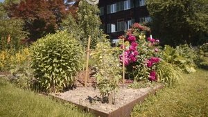 The chalet garden