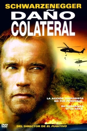 Poster Daño colateral 2002