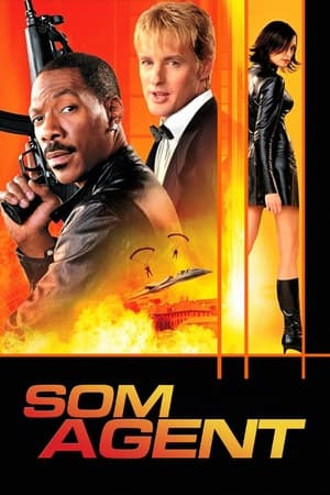 Som agent (2002)