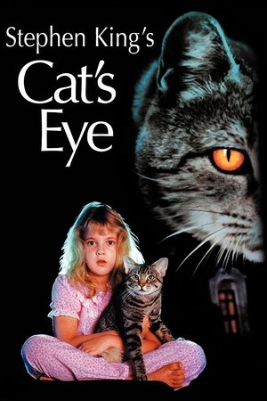 Cat Cat