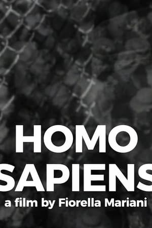 Homo Sapiens