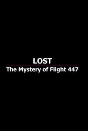 Lost: The Mystery of Flight 447 (2010) | Team Personality Map