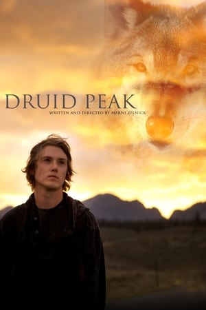 Poster Druid Peak (2014)