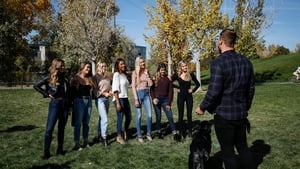 The Bachelor Season 23 Episode 7