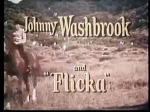 My Friend Flicka The Recluse