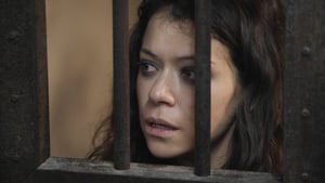 Orphan Black: 3×5