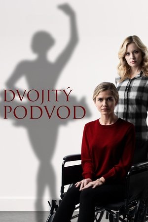 Image Dvojitý podvod