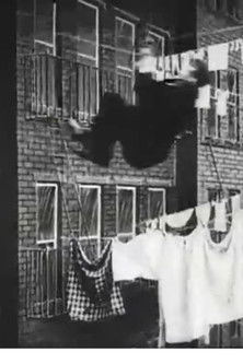 The Burglar's Slide for Life