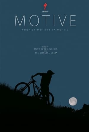Poster Motive (2017)