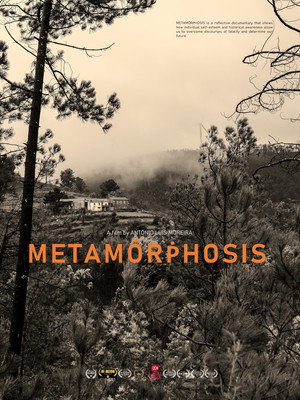 Metamorphosis