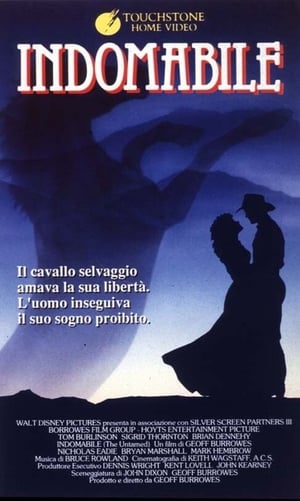 Poster di Indomabile