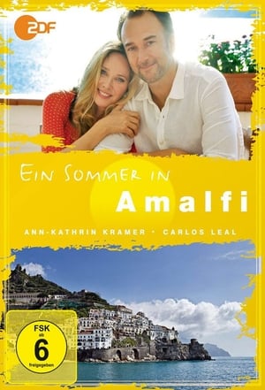 Poster Ein Sommer in Amalfi 2013