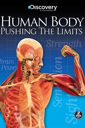 Image Human Body: Pushing the Limits