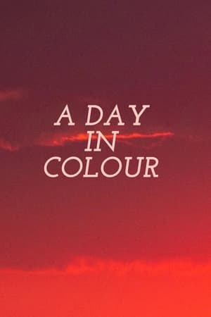 A Day in Colour 