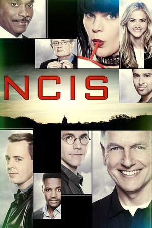 NCIS Season 15 Episode 10