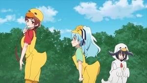 Zombieland Saga: Saison 1 Saison 5