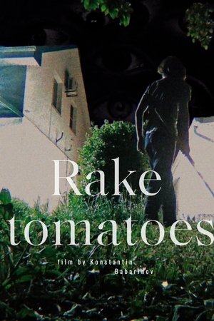 Rake Tomatoes