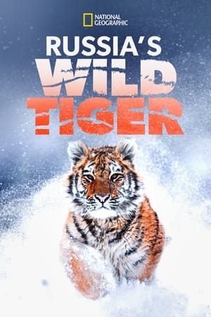 Poster Russia's Wild Tiger 2022