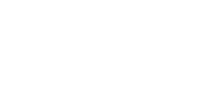Malditas Aranhas! — Logos 10