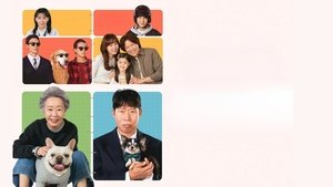 Dog Days – KhmerSub ( 2024 )
