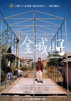 Liu Xiaodong: Hometown Boy poster