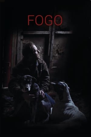 Poster Fogo (2012)