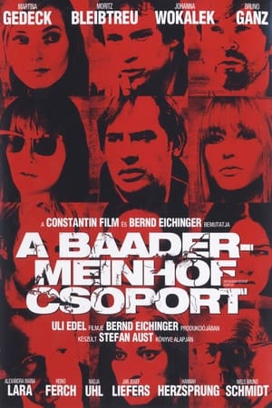 A Baader Meinhof csoport (2008)