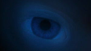 Dune: Part Two (2024) ดูน: ภาคสอง พากย์ไทย