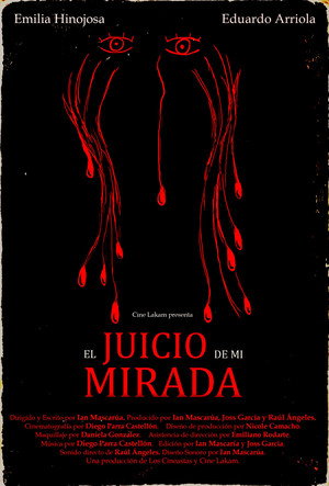El juicio de mi mirada. 5