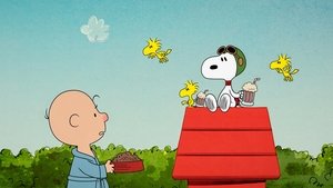 Nunca molestes a un beagle