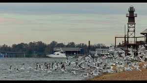 Image The Mississippi Delta