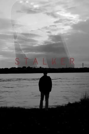 Stalker 2019