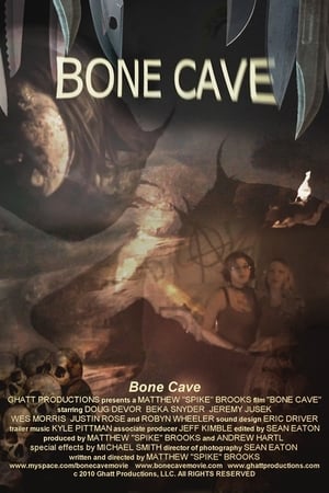 Image Bone Cave